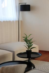 a plant sitting on a table in a living room at Das Nomadenhaus - Garten, Grill, Nähe Köln in Bergheim