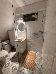 a bathroom with a shower with a toilet and a sink at Kamonkő Panoráma Kuckó in Szigliget