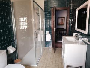 a bathroom with a shower and a toilet and a sink at Goikitxe Etxea in Goizueta +54 photos