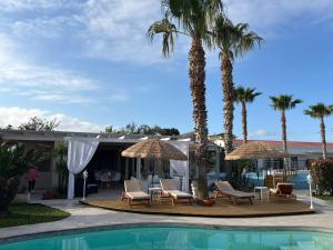 a resort with a pool and palm trees and chairs at B&B Resort El Bisagrà in Scalea