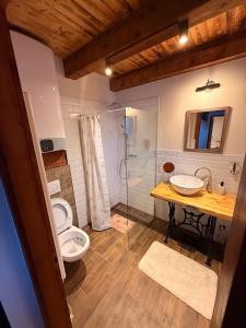 a bathroom with a toilet and a sink and a shower at VillaVino in Szekszárd