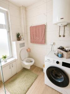 a bathroom with a toilet and a washing machine at Panorama Gold in Soko Banja +14 photos