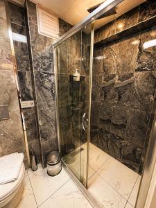 a bathroom with a shower and a toilet at Luka Suit Hotel in Istanbul +66 photos