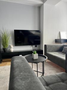 a living room with a couch and a table and a tv at XIX Boutique Apartment in Skopje +9 photos