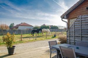 two horses are grazing in a fenced in field at La cabriole des lacs in Briel-sur-Barse +9 photos