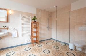 a bathroom with a shower and a toilet and a sink at Dia Mare EG West in Ueckeritz