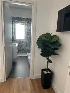 ein Badezimmer mit Toilette und einer Topfpflanze in der Unterkunft Domus Ale in Vallo della Lucania + 59 Fotos