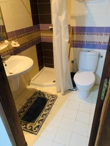 a bathroom with a toilet and a sink at Omrane in Tunis
