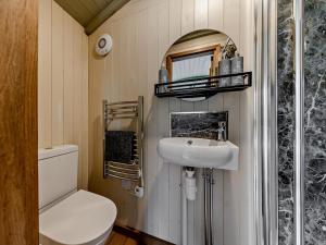 a small bathroom with a toilet and a sink at 1 Bed in Bala oc-85259 in Frongoch +18 photos