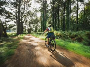 a person riding a bike down a dirt road at 1 Bed in Bala oc-85259 in Frongoch