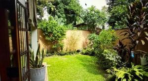 a garden with green grass and plants and a fence at Chevita Villa in Malabe