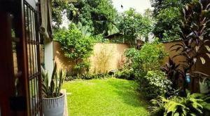 a garden with green grass and plants and a fence at Chevita Villa in Malabe