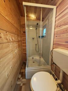 a bathroom with a toilet and a shower at RED Tiny Houses in Voronet +51 photos