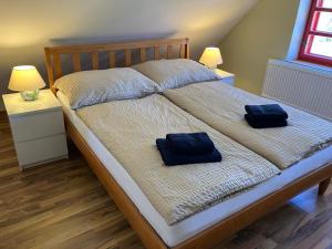 two blue pillows sitting on top of a bed at Apartmány Maříž in Maříž +8 photos