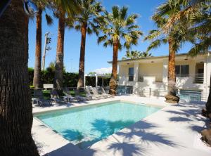 a swimming pool with palm trees and chairs at THE FLOWERs in Pontecagnano