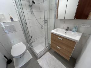 ein Badezimmer mit Dusche, Toilette und Waschbecken in der Unterkunft Werkblick in Niederaigen