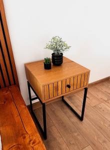 a wooden table with two potted plants on it at Woodland Retreat in Ampoiţa