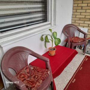 a small table and chair with a plant on a window at Apartman Suva reka in Leskovac