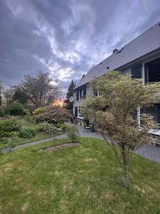 a house with a yard with a tree in front of it at Chez Stéphanie et Sylvain in Le Mesnil-Villeman