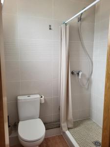 a bathroom with a toilet and a shower at Casa Santa Úrsula in Casinos +18 photos