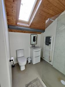 a bathroom with a toilet and a sink and a skylight at 50-5 Coolyvenny in Killure
