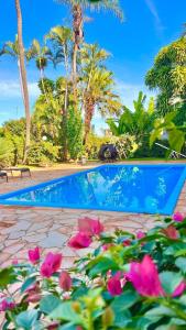 a swimming pool with pink flowers and palm trees at Cardoso Palace Hotel Rio Verde in Rio Verde