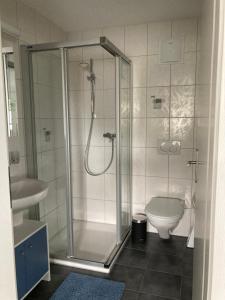 a bathroom with a shower and a toilet at FeWo-Studio Linde in Amsoldingen