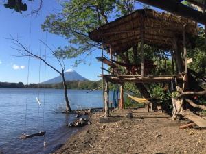 a tree house on the shore of a body of water at Hostal La Gloria in Mérida