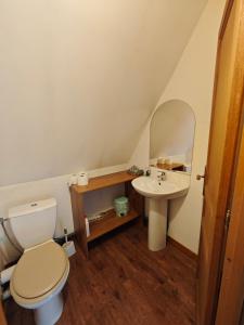 a small bathroom with a toilet and a sink at La Belangerie in Saint-Loup +7 photos