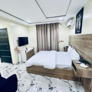 a bedroom with a large bed and a television at TFE Apartments in Ibadan