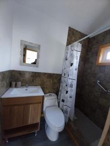 a bathroom with a toilet and a sink and a shower at Ruta Divisadero in Coihaique