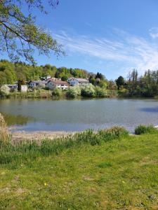 a view of a lake with houses in the background at Ferienwohnung Störkle in Maselheim