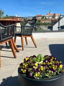 two chairs and a table and a pot of flowers at Apartmány Pod Novou in Mikulov