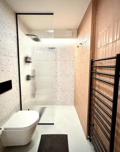 a bathroom with a toilet and a glass shower at Mont-Blanc Design Studio in Morgex +42 photos