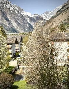 a building with a tree in front of a mountain at Mont-Blanc Design Studio in Morgex