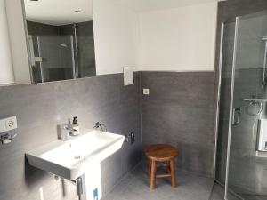 a bathroom with a sink and a shower at Hyggehus in Warnitz +9 photos