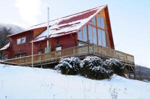 Carpathian Log Home v zimě