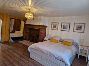 a bedroom with a large bed and a fireplace at La maison Argonnaise in beaulieu en argonne