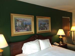 a bedroom with a green wall with a bed and two pictures at Ruskin Inn Tampa-Sun City Center in Ruskin +64 photos
