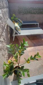 a white bench sitting next to a potted plant at Stone House Premium Room in Porriño +47 photos