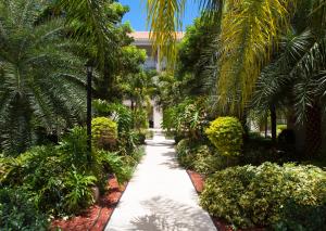 a walkway through a garden with palm trees at Hotel La Vista Azul in Turtle Cove