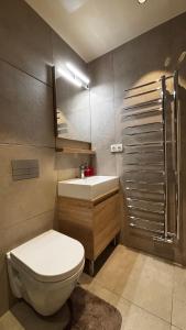 a bathroom with a white toilet and a sink at Apartmán Jasanek in Železná Ruda
