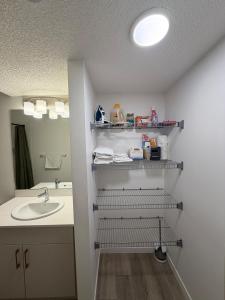 a bathroom with a sink and a mirror at Haverims Cozy and Neat Basement in Edmonton +12 photos