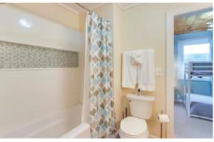 a bathroom with a white toilet and a shower at Sunrise Cottage in Blue Ridge