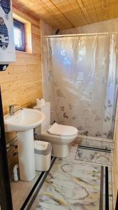 a bathroom with a toilet and a sink at Altyn Oimok Yurt Camp in Tong