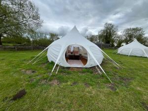 two white tents in a grassy field at Pop Bell tent in Radcot