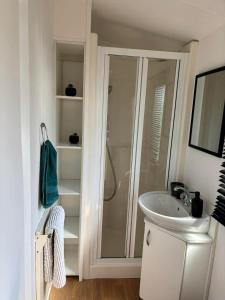 a bathroom with a shower and a sink at Cornish Dreams - WiFi in Newquay