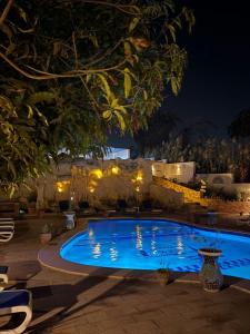 a swimming pool in a yard at night at Al Baeirat Hotel in Luxor