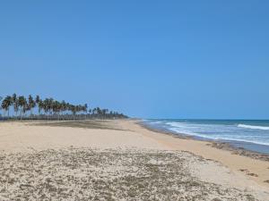 a beach with palm trees and the ocean at Villa Hùéfa in Ouidah