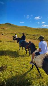 a group of people riding horses in a field at Parador Pôr do Sol in Cambará